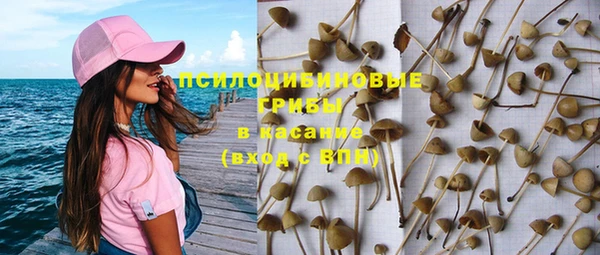 гашик Анива