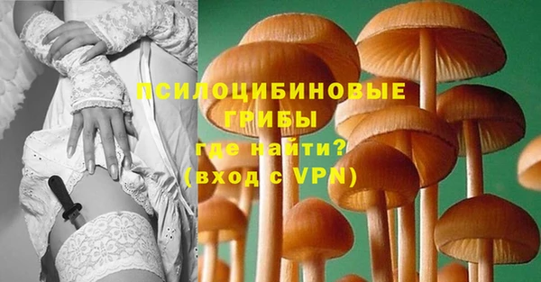 СК Осинники