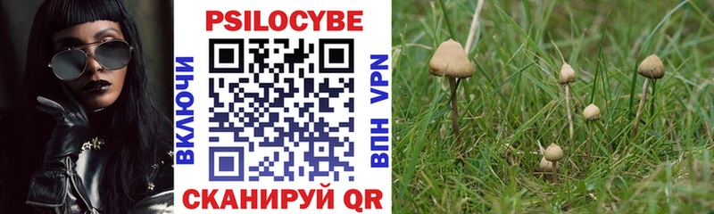 Галлюциногенные грибы GOLDEN TEACHER  закладка  Карабаново 